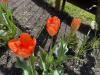 800x600-1777113387907_IMG_9104.jpeg