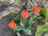 800x600-1777113458597_IMG_9101.jpeg