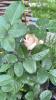 800x600-1783287696128_IMG_2631.jpeg