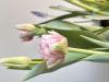 800x600-1741459227591_IMG_8749.jpeg