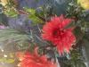 800x600-1757317857813_IMG_3830.jpeg