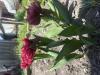 800x600-1778150673241_IMG_2806.jpeg