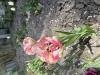 800x600-1778790559895_IMG_2892.jpeg