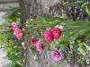 800x600-1778791496433_IMG_2957.jpeg