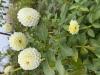 800x600-1763626964646_IMG_3257.jpeg