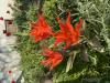 800x600-1778094892491_IMG_0329.jpeg