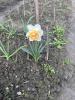 800x600-1745406175239_IMG_2531.jpeg