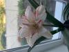 800x600-1750245942939_IMG_2398.jpeg