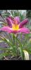 800x600-1753306183688_Screenshot_20250722_201515_Gallery.jpg