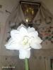 800x600-1776931330653_Messenger_creation_B45CC4B5-9712-4F4A-9A77-0CF01FC45FCC.jpeg
