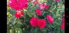 800x600-1672504849982_Screenshot_20221231-183433.jpg