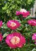 800x600-1748880790233_IMG_3356.jpeg
