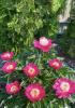 800x600-1748880790752_IMG_3355.jpeg