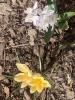 800x600-1773308332653_IMG_7203.jpeg