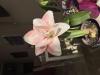 800x600-1745043270791_IMG_7489.jpeg