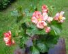 800x600-1599974761171_DSC02138.JPG.jpg