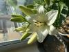 800x600-1749924665646_IMG_6956.jpeg