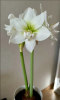 800x600-1768467782854_fl.png