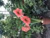 800x600-1750741637498_D4FDEA8D-1A4D-4C14-887A-8E7646BD2274.jpeg