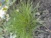 800x600-1788033742616_9743202B-E8BE-4C96-AA29-187E27D9A34D.jpeg