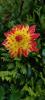 800x600-1759160954567_1000032335.jpg