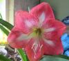 800x600-1764796798596_IMG_8028_.jpg
