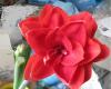 800x600-1765443386138_IMG_7762_.jpg