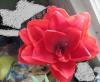 800x600-1765443386357_IMG_7753_.jpg