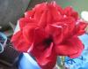 800x600-1765455763389_IMG_8007_.jpg