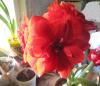 800x600-1765455764726_IMG_8017_.jpg