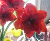 800x600-1765459814972_IMG_7938_.jpg