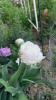 800x600-1779543796961_IMG_2364.jpeg