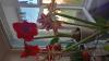 800x600-1752674438653_IMG_20250629_191859.jpg