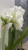 800x600-1763362090640_IMG_6958.jpeg