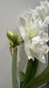 800x600-1763362091638_IMG_6957.jpeg