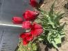 800x600-1777231215816_IMG_3222.jpeg