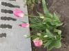 800x600-1777231376602_IMG_3173.jpeg