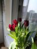 800x600-1774438549692___viber_2026-03-25_13-30-11-088.jpg