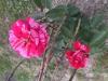800x600-1782839718439_IMG_5154.jpeg