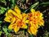 800x600-1652342918360_20210509_153420.jpg