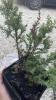 800x600-1781280224999_IMG_7681.jpeg