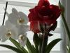 800x600-1745170892876_IMG_8806.jpeg