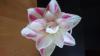 800x600-1781118342489_DSC_0327.JPG.jpg
