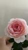 800x600-1728836927985_IMG_5660.jpeg