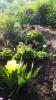 800x600-1556865114138_20190503_080521-01.jpeg