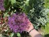 800x600-1734746065148_IMG_8494.jpeg