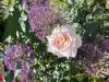 800x600-1734746065284_IMG_8650.jpeg