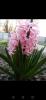800x600-1651328920210_Screenshot_20210510_221008_com.android.gallery3d.jpg