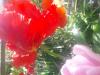 800x600-1652103386159_20220509_153531.jpg