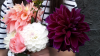 800x600-1714124965146_Screenshot_20240426-124132.png